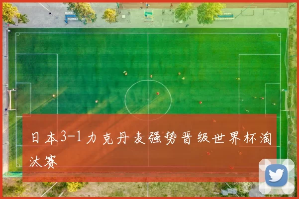 日本3-1力克丹麦强势晋级世界杯淘汰赛