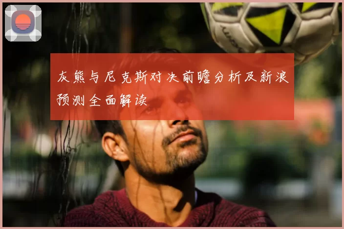 灰熊与尼克斯对决前瞻分析及新浪预测全面解读