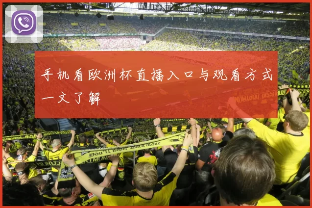 手机看欧洲杯直播入口与观看方式一文了解