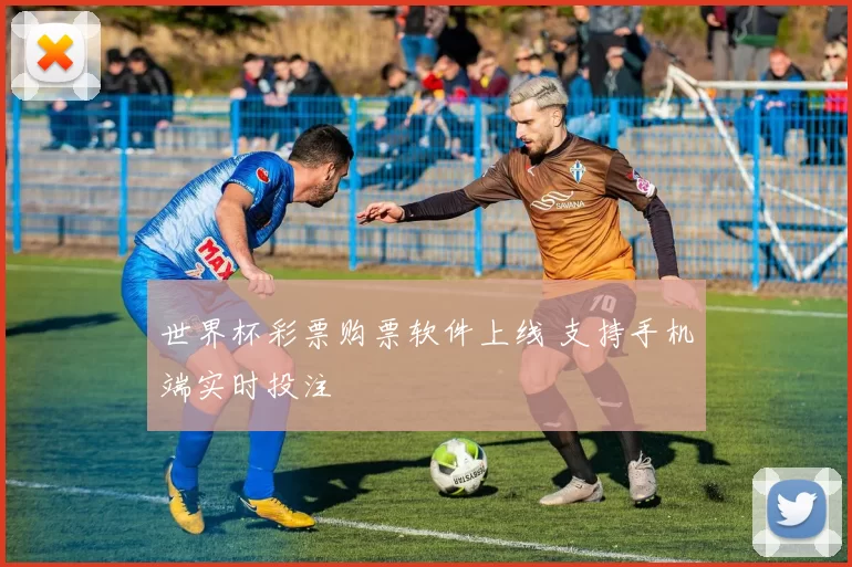 世界杯彩票购票软件上线 支持手机端实时投注