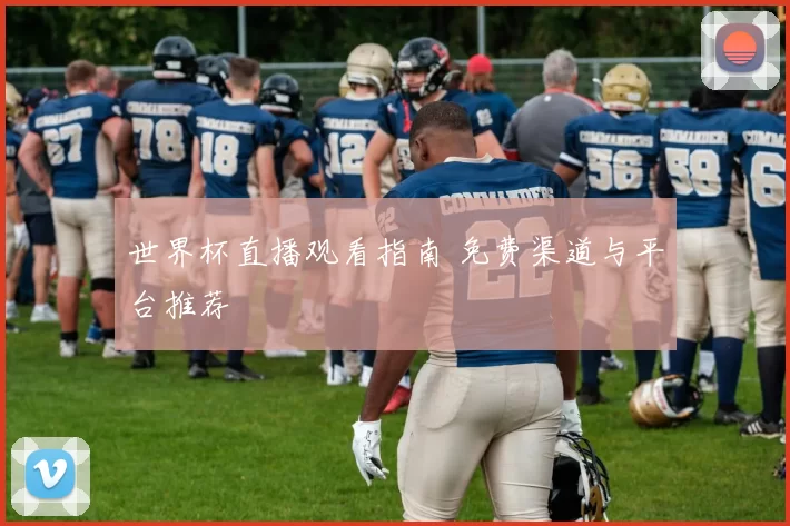 世界杯直播观看指南 免费渠道与平台推荐