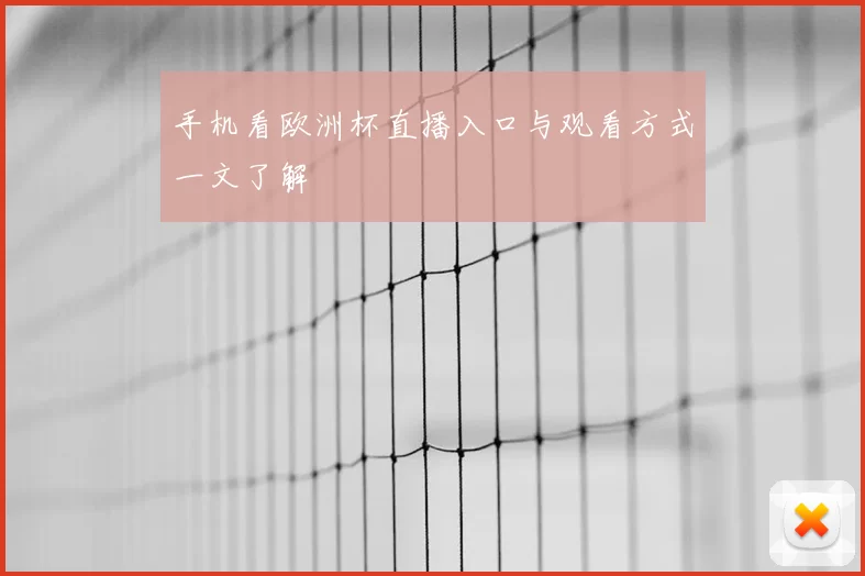 手机看欧洲杯直播入口与观看方式一文了解