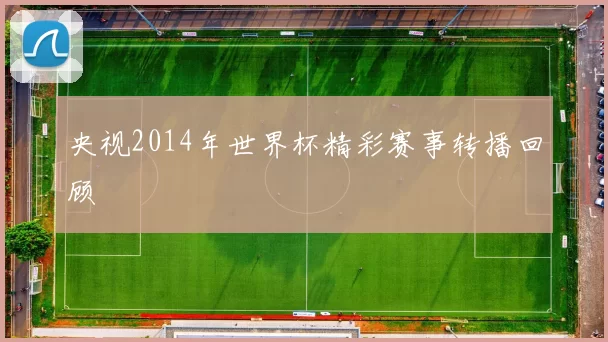 央视2014年世界杯精彩赛事转播回顾