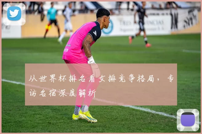 从世界杯排名看女排竞争格局,专访名宿深度解析