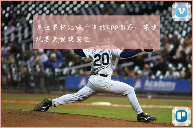 看世界杯比较干净的app推荐，球迷观赛更便捷安全