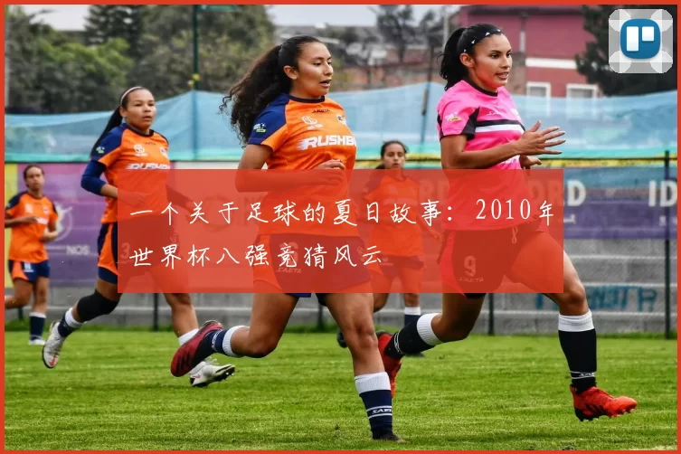 一个关于足球的夏日故事:2010年世界杯八强竞猜风云