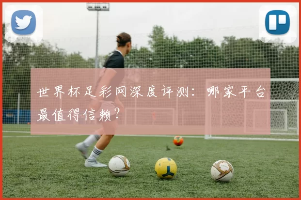 世界杯足彩网深度评测:哪家平台最值得信赖?