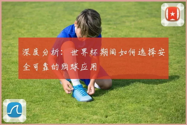 深度分析:世界杯期间如何选择安全可靠的购球应用
