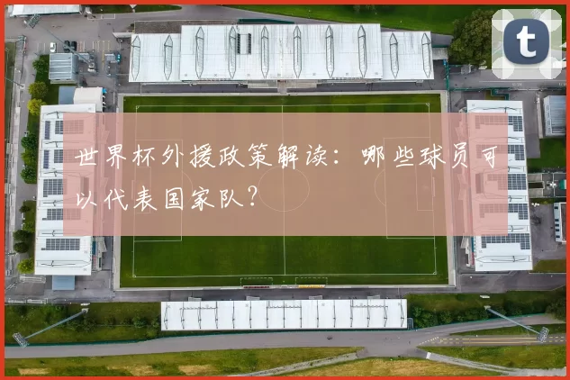 世界杯外援政策解读：哪些球员可以代表国家队？