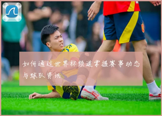 如何通过世界杯频道掌握赛事动态与球队资讯