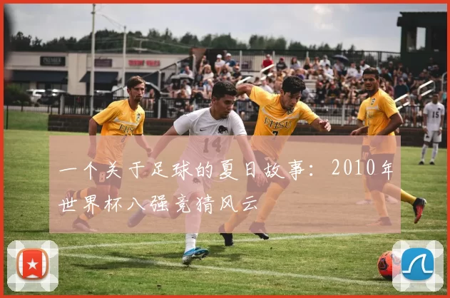 一个关于足球的夏日故事:2010年世界杯八强竞猜风云