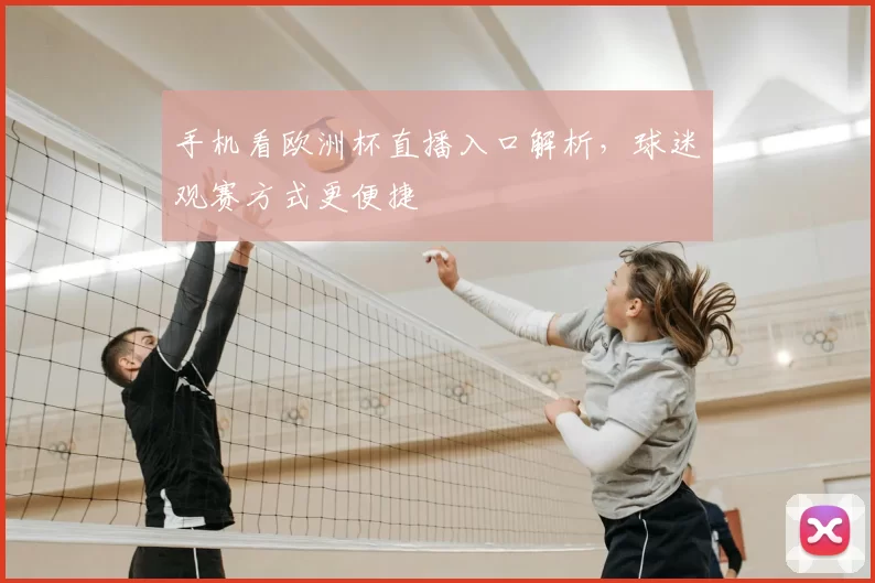 手机看欧洲杯直播入口解析,球迷观赛方式更便捷